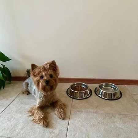 Lovita With A Garage Daire *